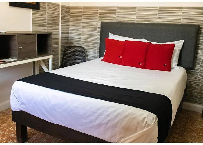 OYO Hotel La Coleccion