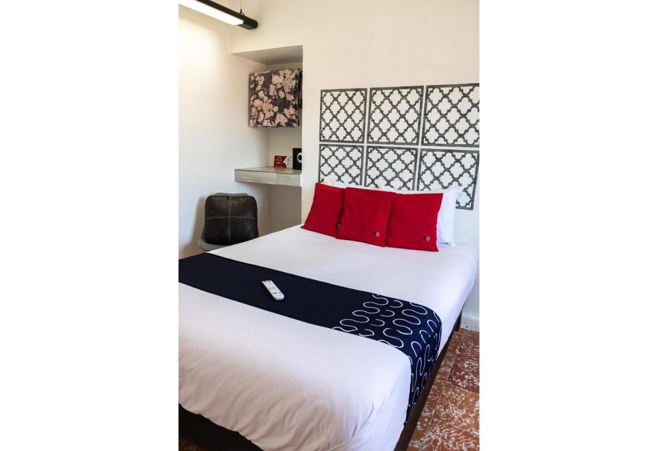 La Coleccion, Universidad De Guanajuato, Centro 4*